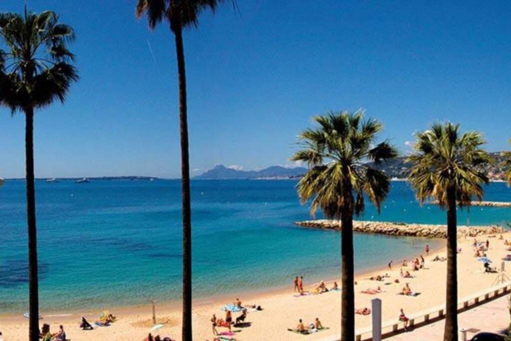 Grand Studio Climatisé Proche Plages Juan Les Pins Appartement