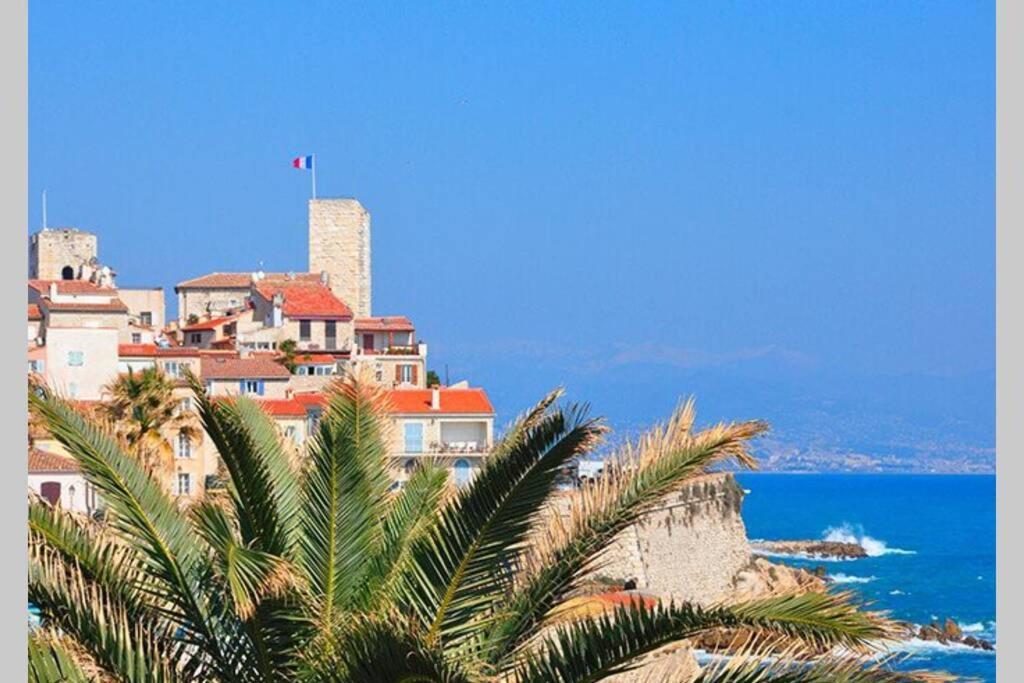 Grand Studio Climatisé Proche Plages Juan Les Pins Appartement Antibes